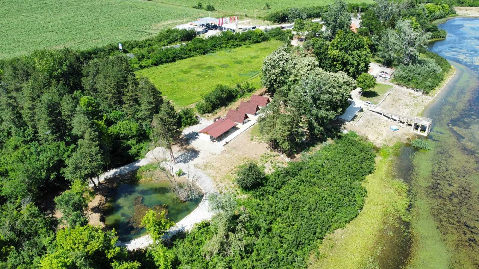 Вили Янкови