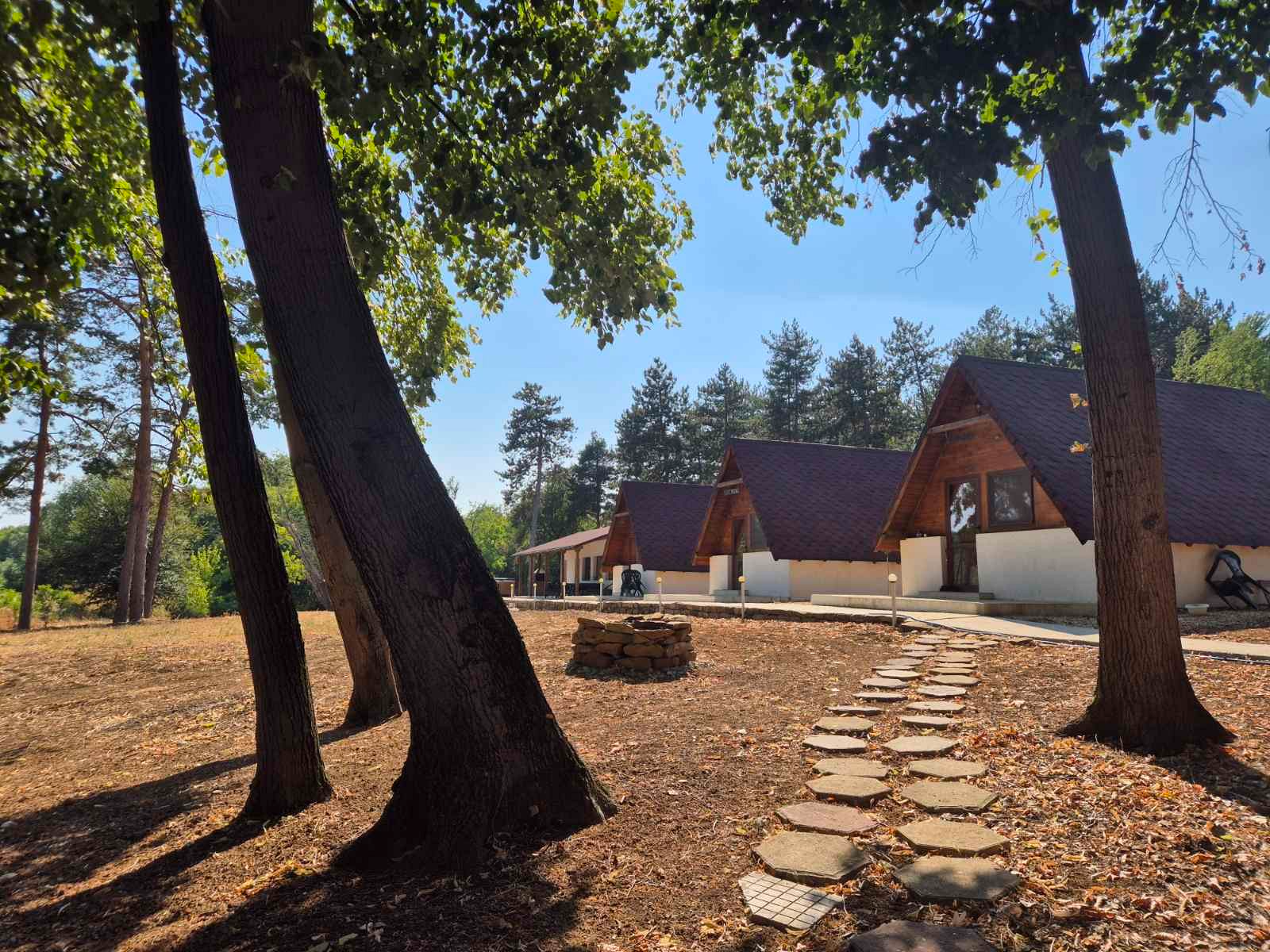 Вили Янкови